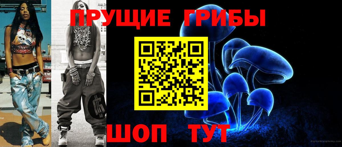 Галлюциногенные грибы Psilocybine cubensis Полевской