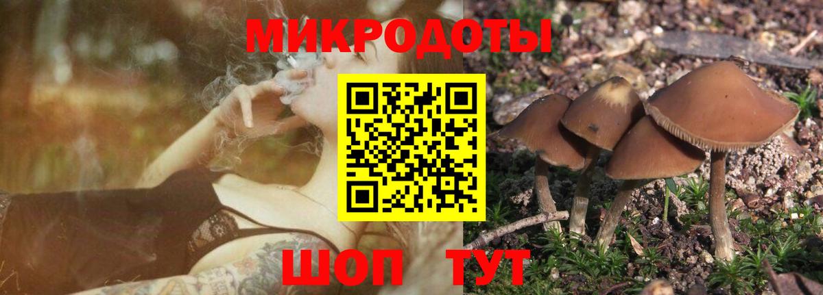 Галлюциногенные грибы Psilocybine cubensis  Вход с VPN  Полевской 